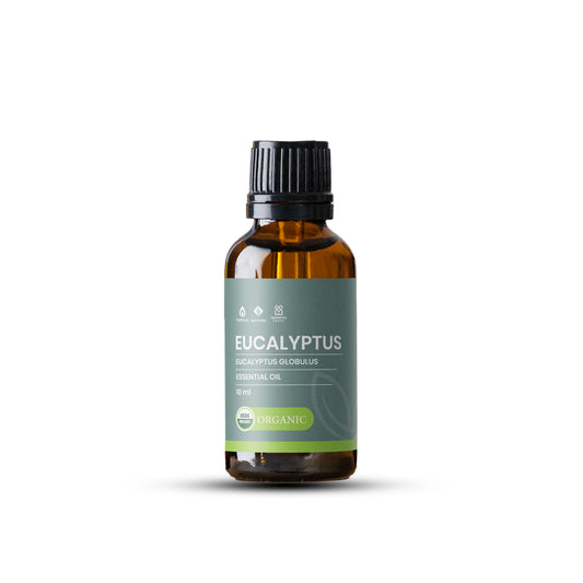 ÒGANIKHA Eucalyptus Essential Oil (10ml)