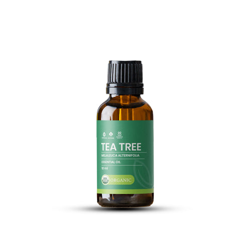 ÒGANIKHA Tea Tree Essential Oil 10ml | Pure Cleansing Oil